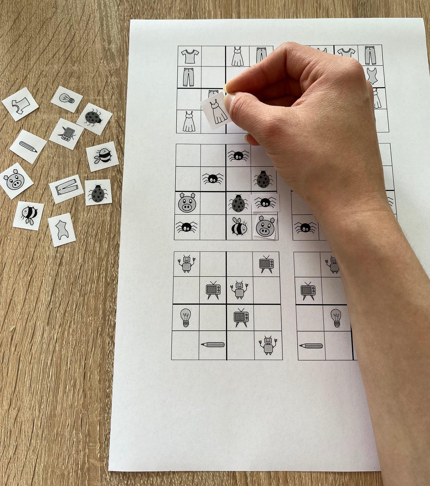 Obrázkové sudoku (12 ks)
