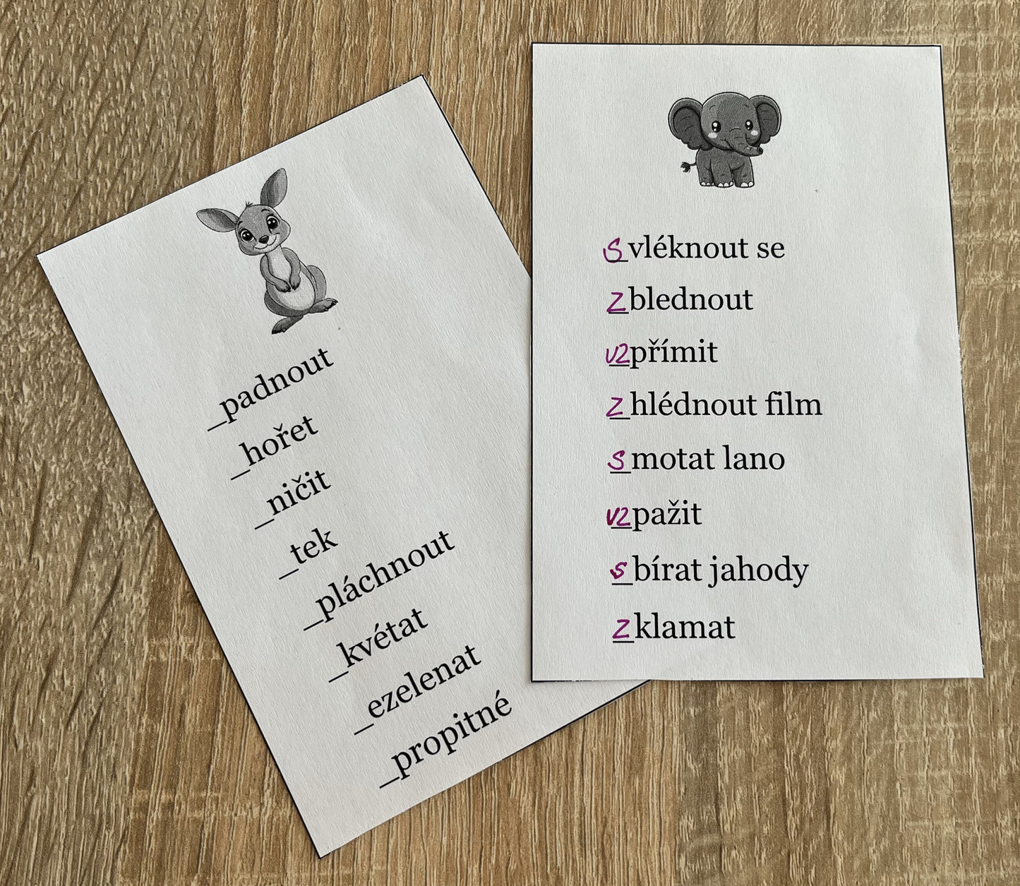 Procvičuj S, Z, VZ (předpony)