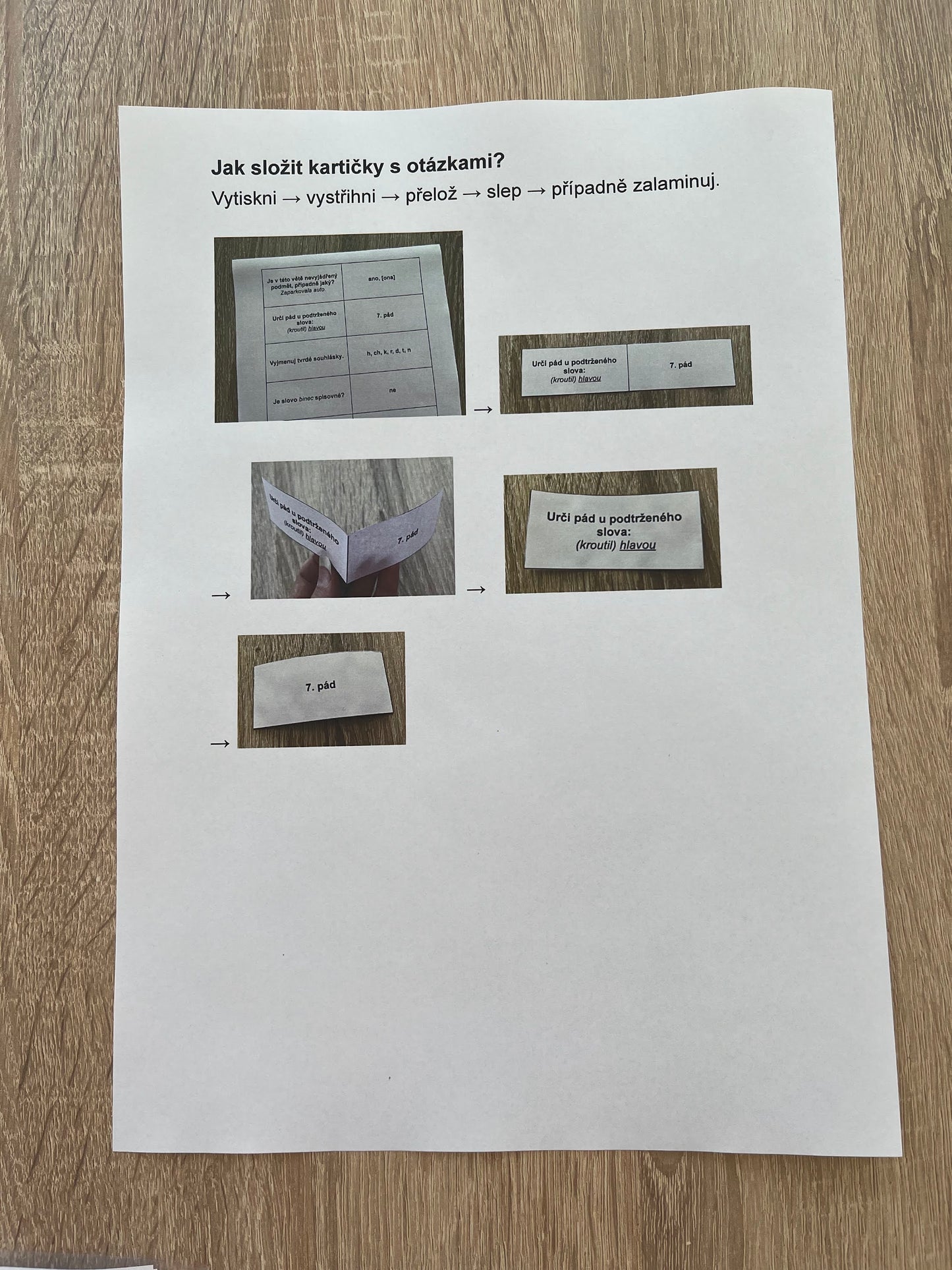 Český jazyk se zvířátky