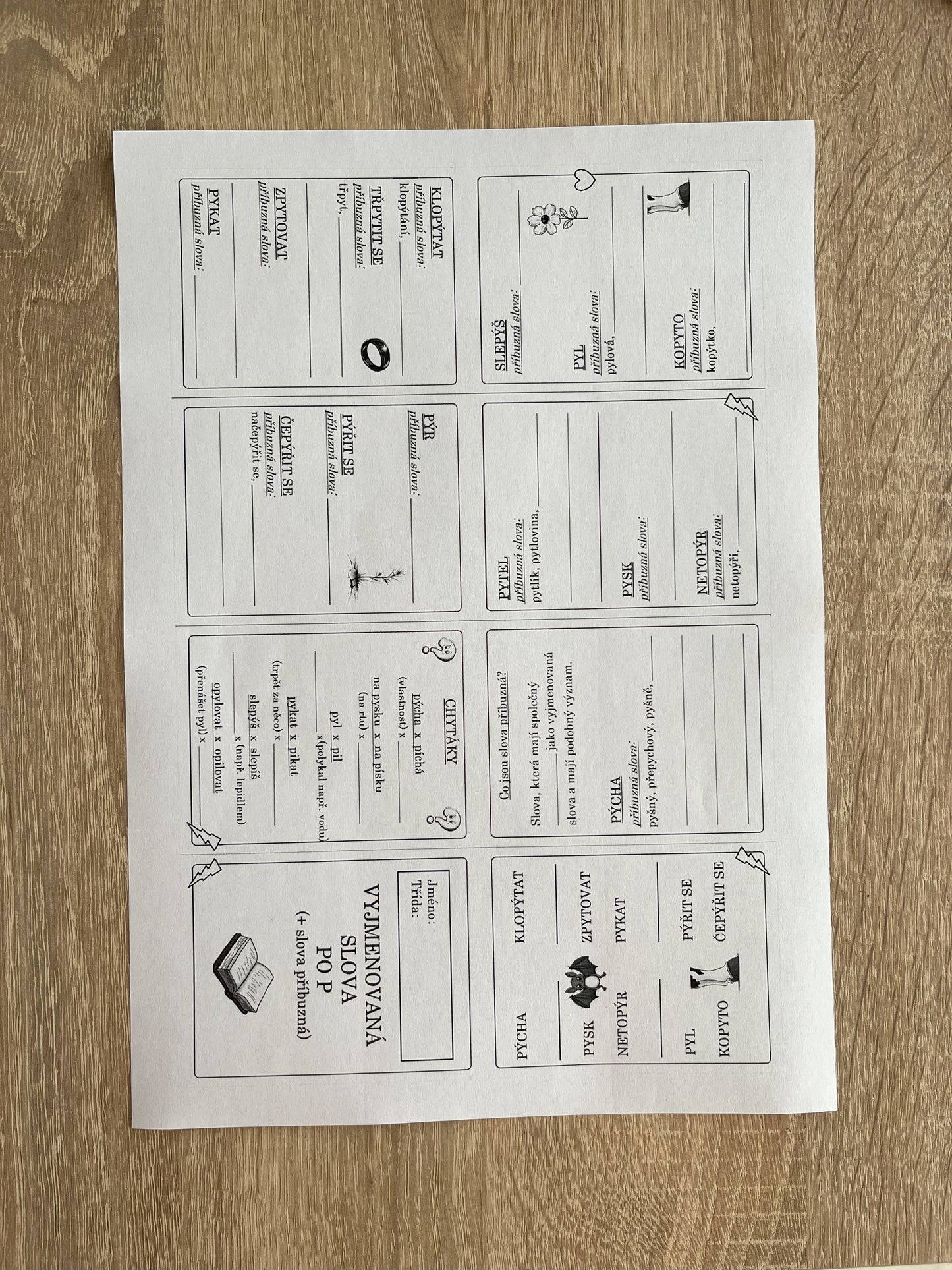 Vyjmenovaná slova P, S, V, Z - přehled