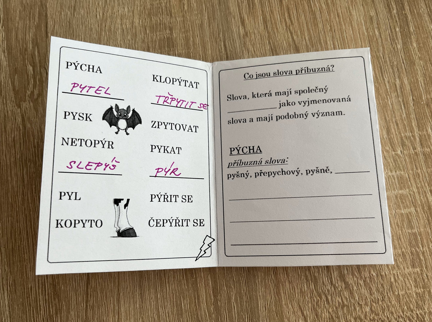 Vyjmenovaná slova P, S, V, Z - přehled