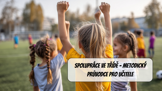 SPOLUPRÁCE VE TŘÍDĚ - Metodický průvodce pro učitele