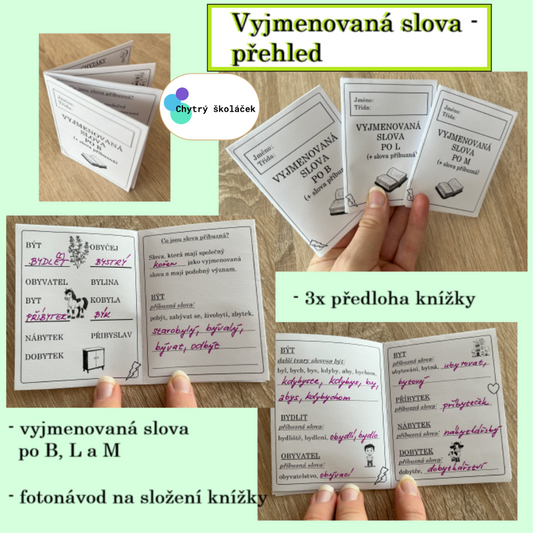 Vyjmenovaná slova B, L, M - přehled