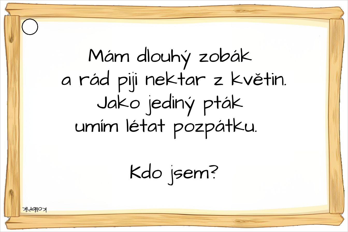 Kvíz - Hádej, kdo jsem? (zvířata)